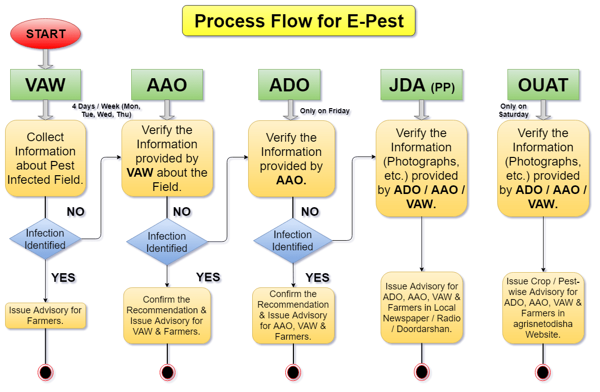 e-Pest Process Flow